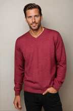 Load image into Gallery viewer, Ansett Mens V Neck Knit 6723
